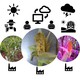 Alert app: Food and Feed Safety at SRRC team